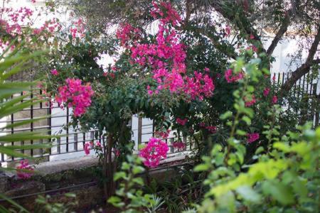 Glyfada Riviera Home เอเธนส์ ภายนอก รูปภาพ